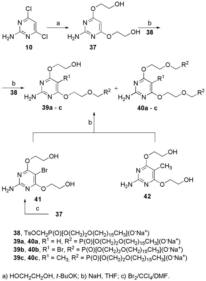 Scheme 5