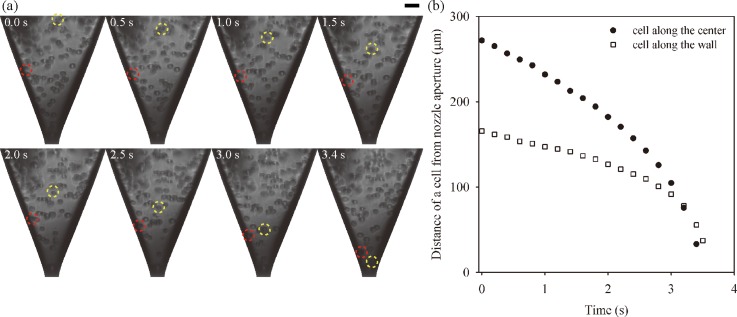 FIG. 3.