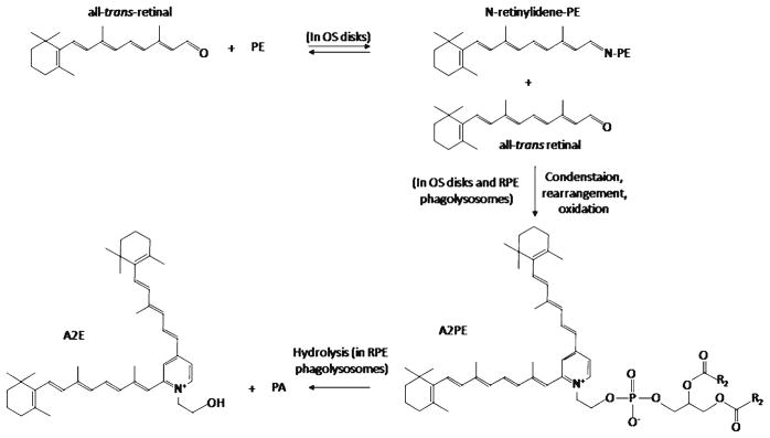 Fig. 6