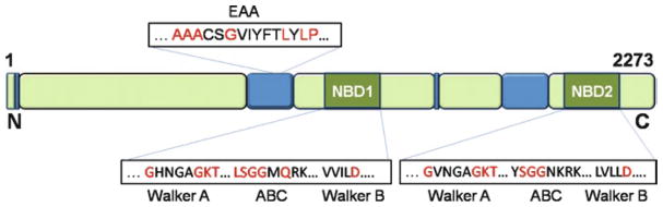 Fig.1