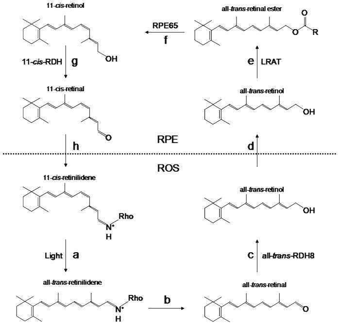 Fig. 4