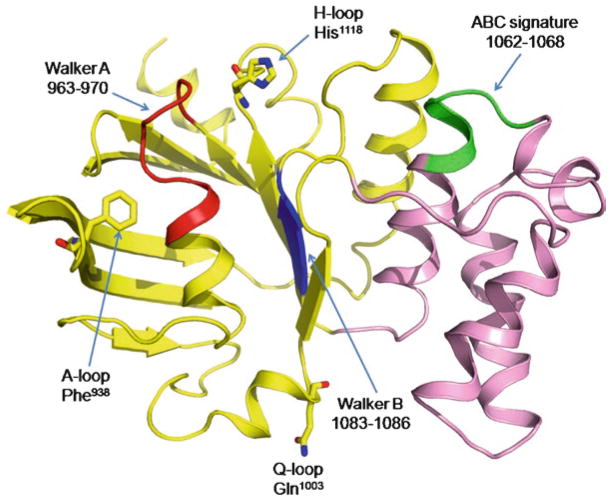 Fig. 3