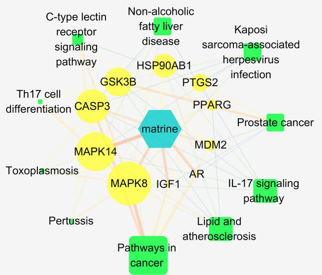 Figure 4