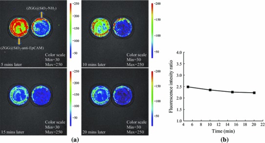 Fig. 7