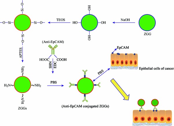 Scheme 1