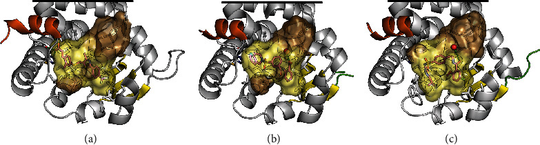 Figure 5