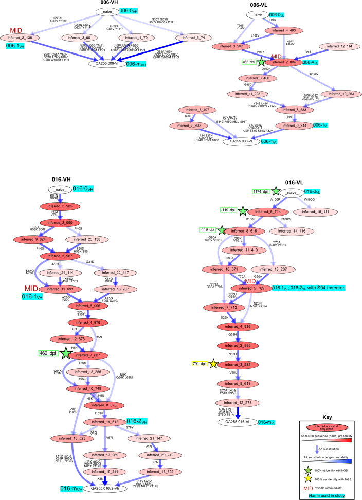 Figure 4—figure supplement 1.