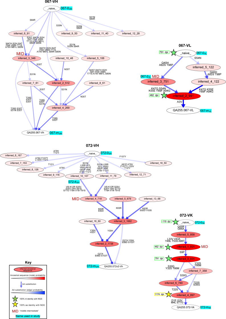 Figure 4—figure supplement 2.