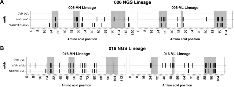 Figure 2—figure supplement 1.