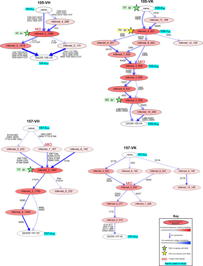 Figure 4—figure supplement 3.