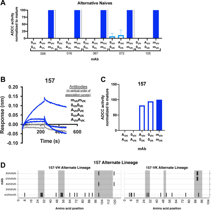 Figure 3—figure supplement 1.