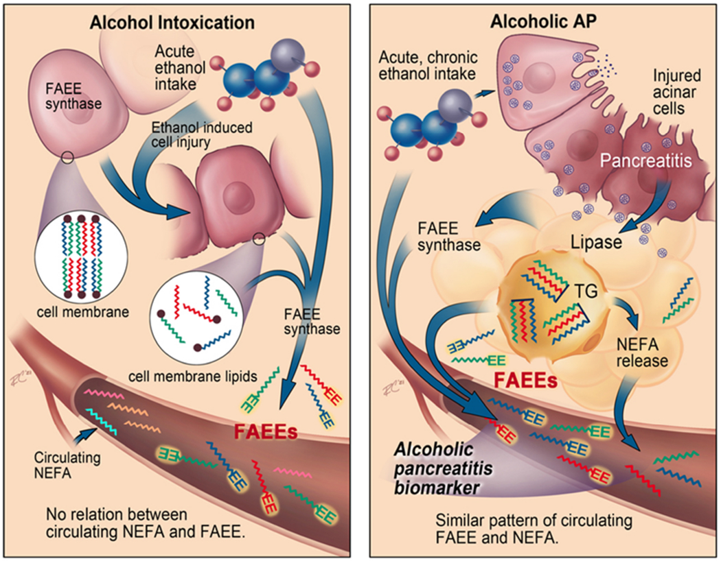 Figure 7: