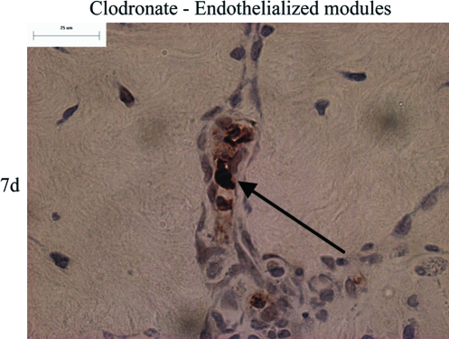 FIG. 8.