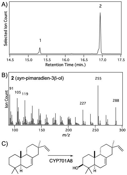 Figure 2