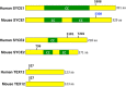 Figure 7—figure supplement 1.