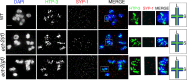 Figure 2—figure supplement 1.