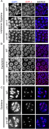 Figure 2—figure supplement 2.