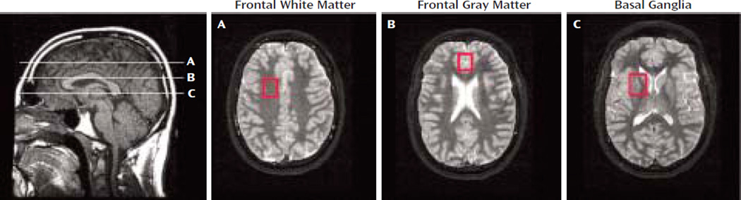 FIGURE 1