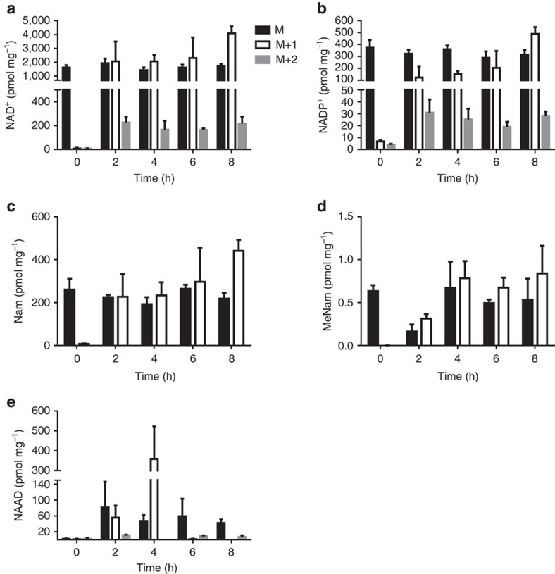 Figure 7