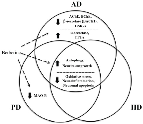 Fig. (2)