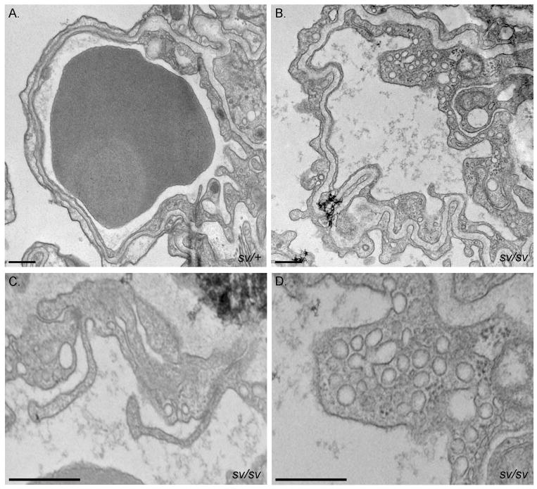 Fig. 13