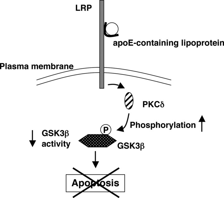 Figure 9.