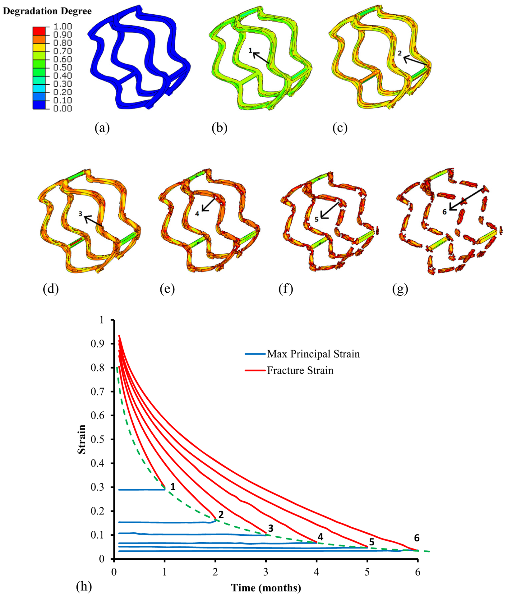 Figure 4: