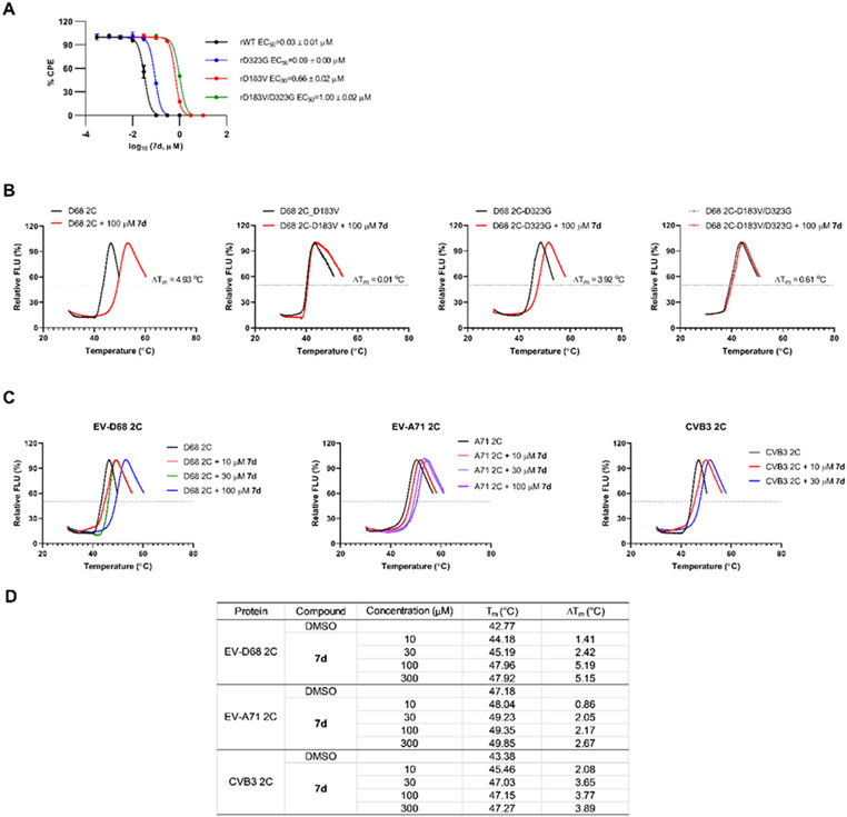 Figure 6.