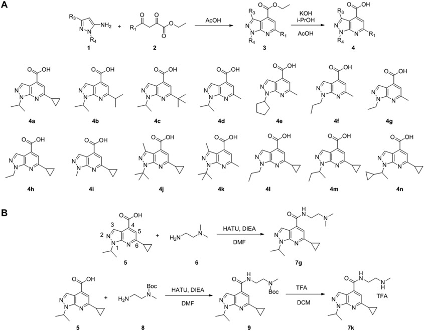 Figure 2.