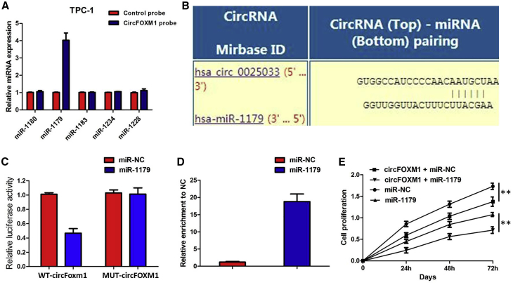 Figure 6