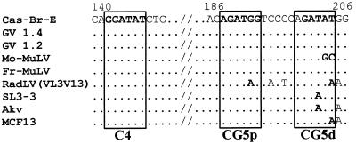 FIG. 7