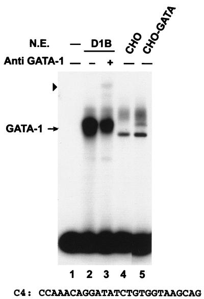 FIG. 5