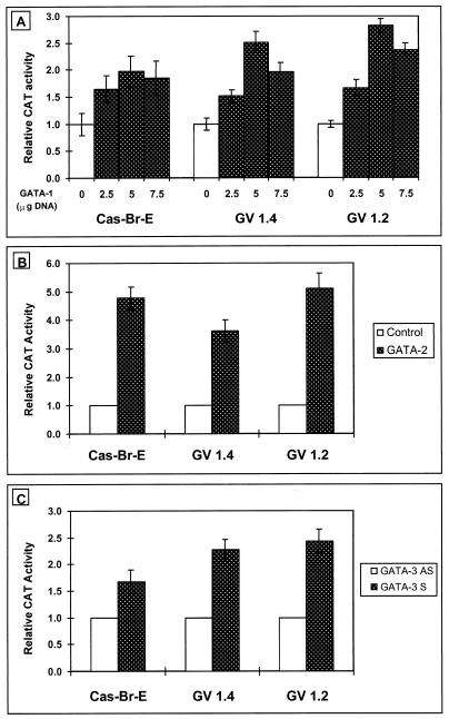 FIG. 6