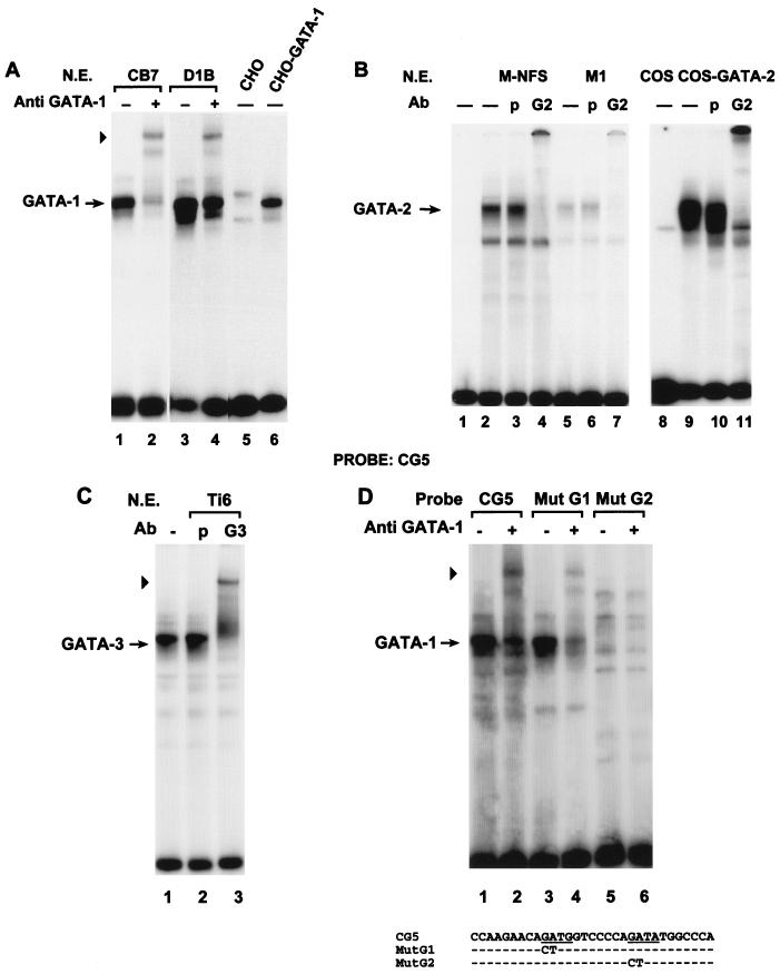 FIG. 4