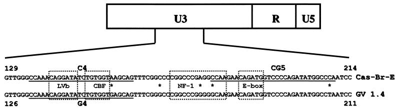 FIG. 1