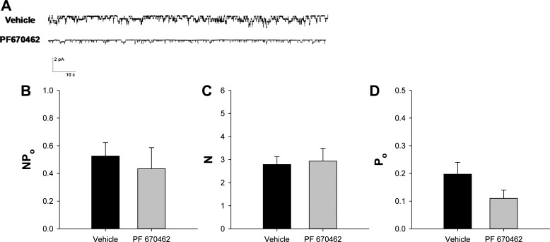 Fig. 11.