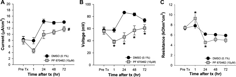 Fig. 8.