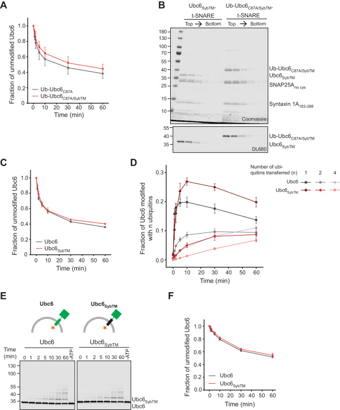 Figure 5—figure supplement 1.