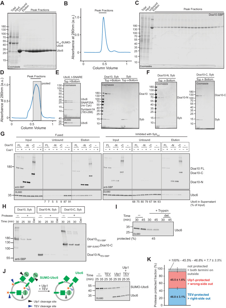 Figure 1—figure supplement 1.