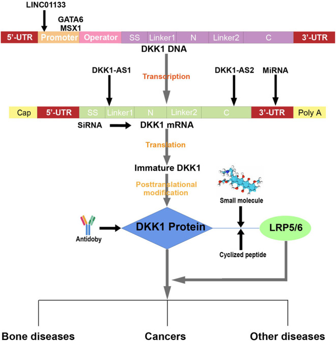 FIGURE 3