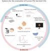 Graphical Abstract