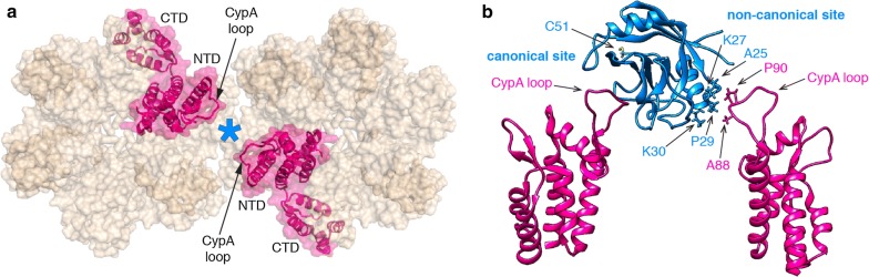 Fig. 1