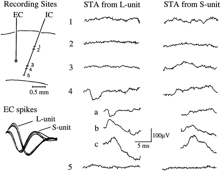 Fig. 10.