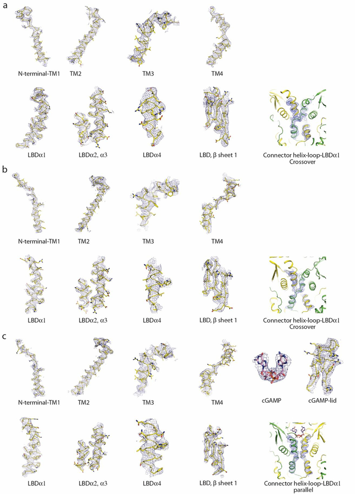 Extended Data Fig. 7 |