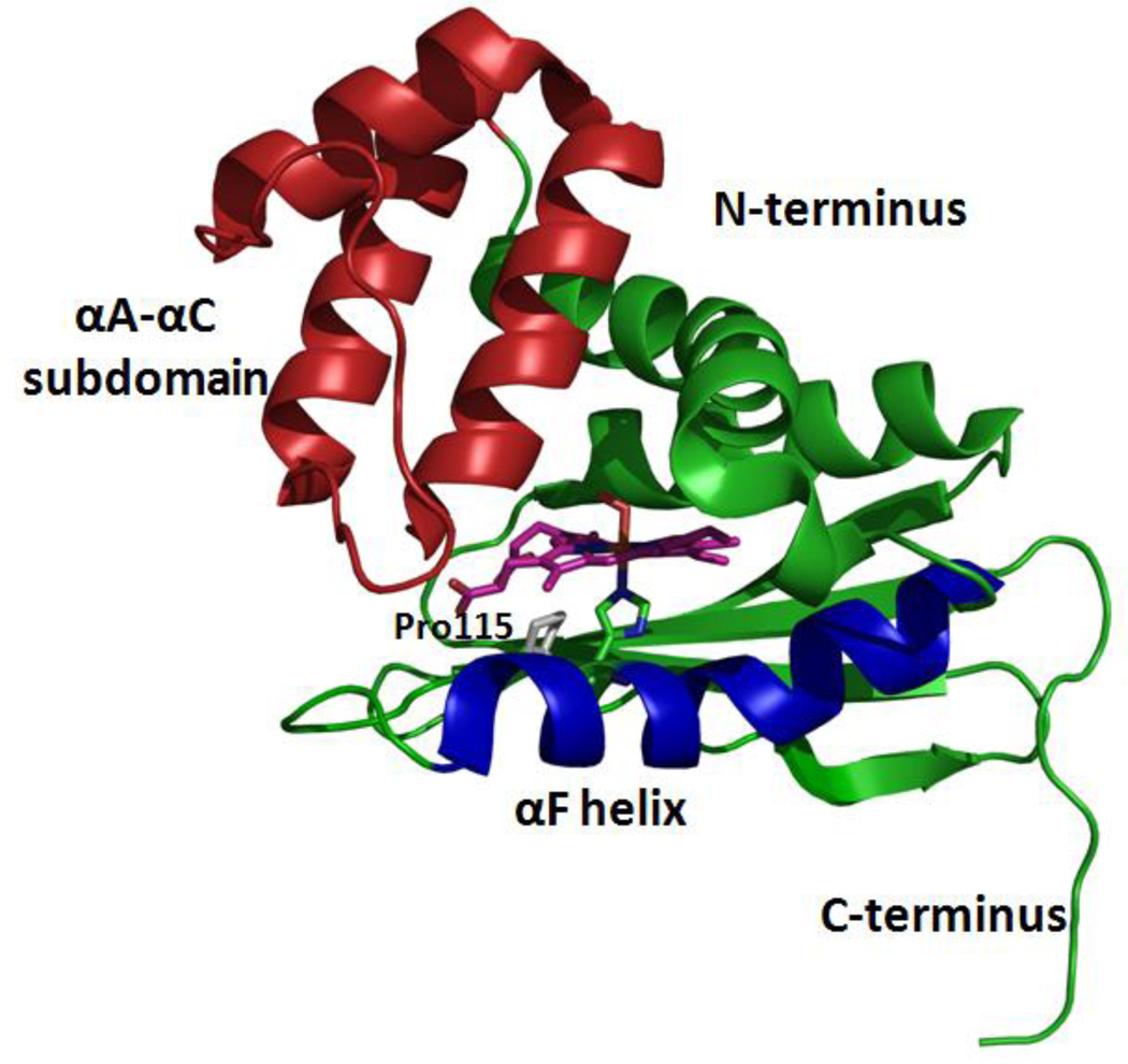 FIG. 1