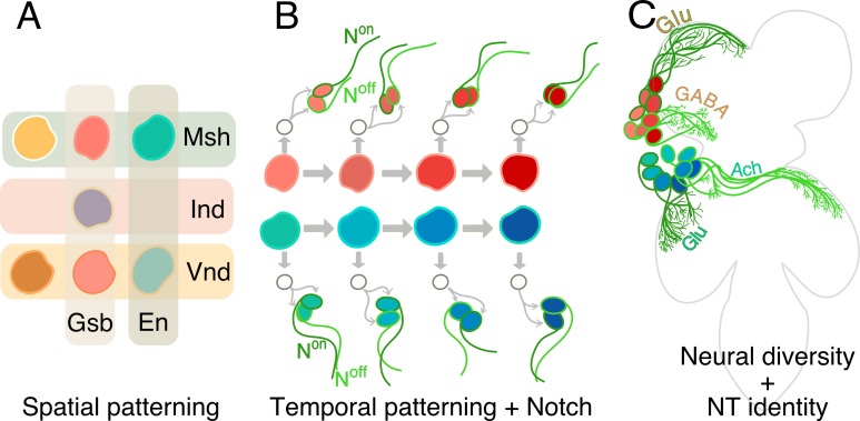 Figure 1.