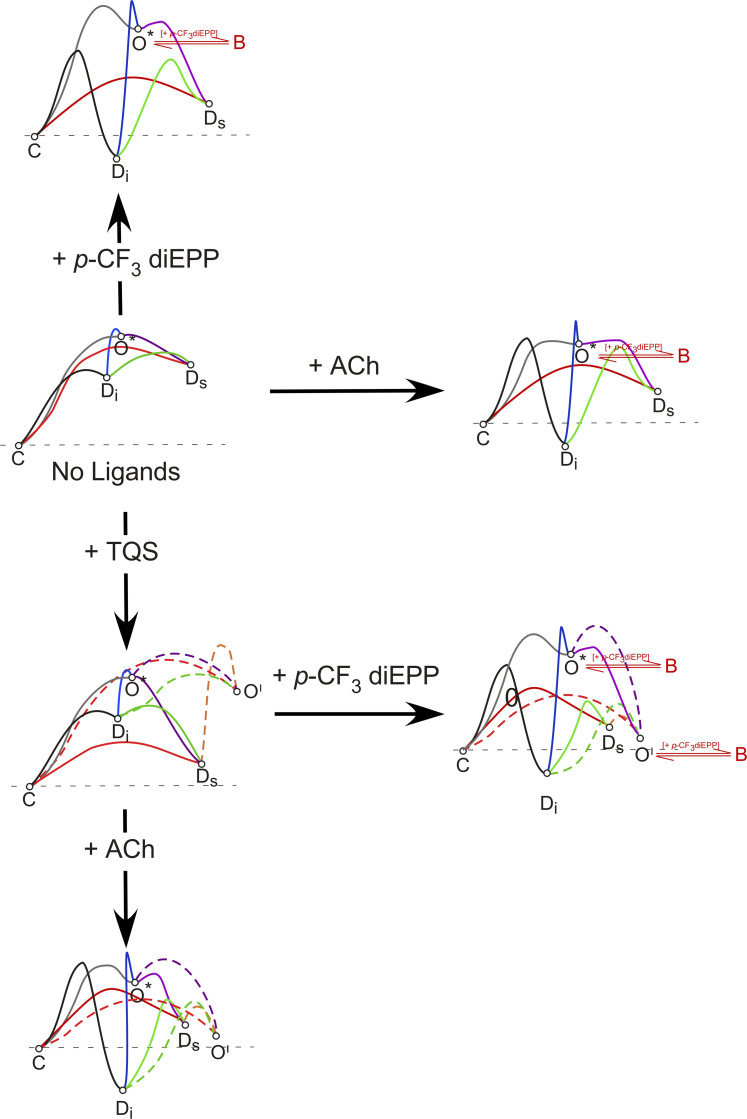 Fig. 6.