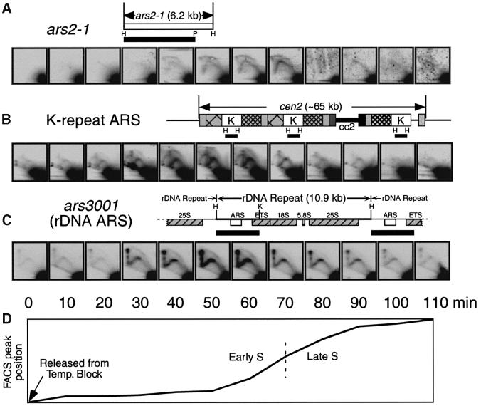 graphic file with name cde582f4.jpg