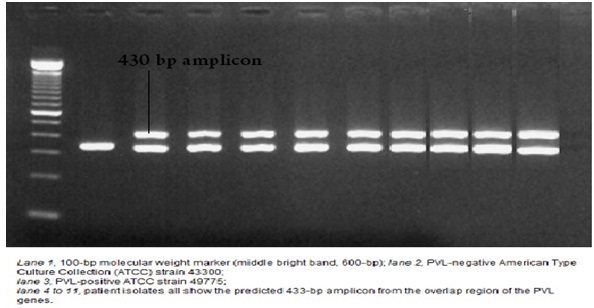 [Table/Fig-6]: