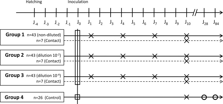 Fig 1